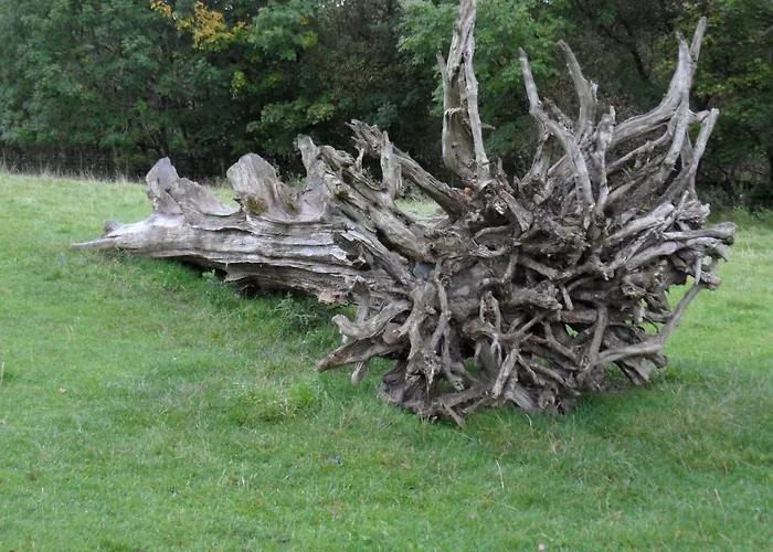 Lane Rigg Bed & Breakfast