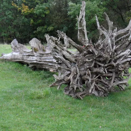 Lane Rigg فندق مبيت وإفطار