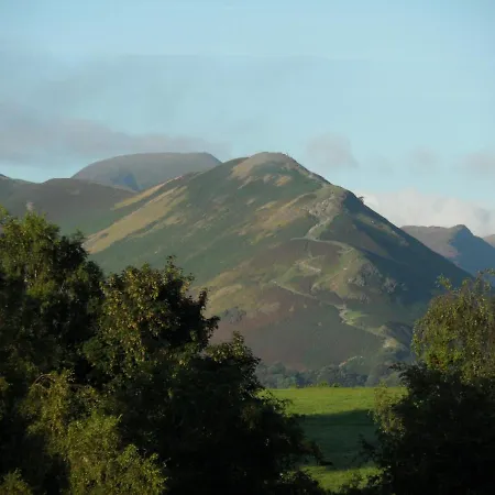 Lane Rigg