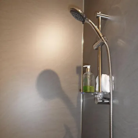 Lane Rigg كيسويك